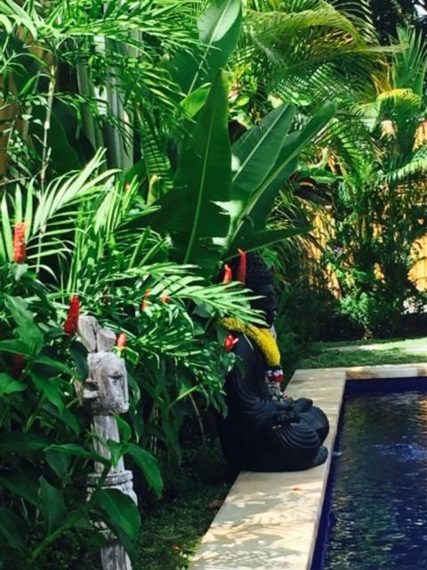 Kayu Bali Hotel Canggu  Luaran gambar