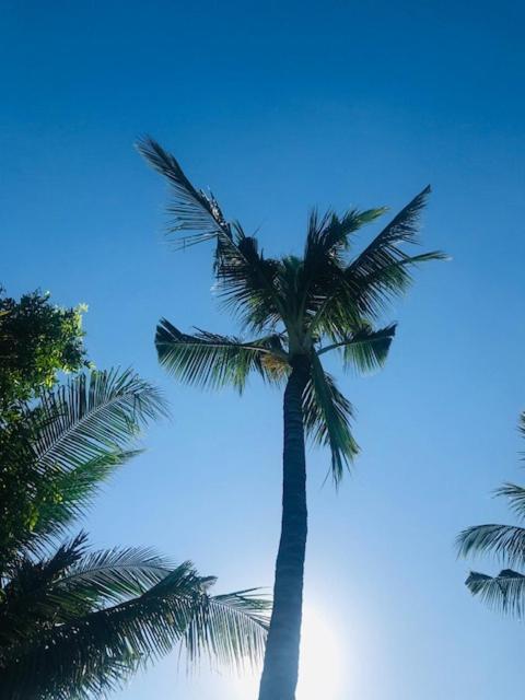 Kayu Bali Hotel Canggu  Luaran gambar