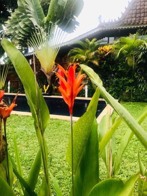 Kayu Bali Hotel Canggu  Luaran gambar