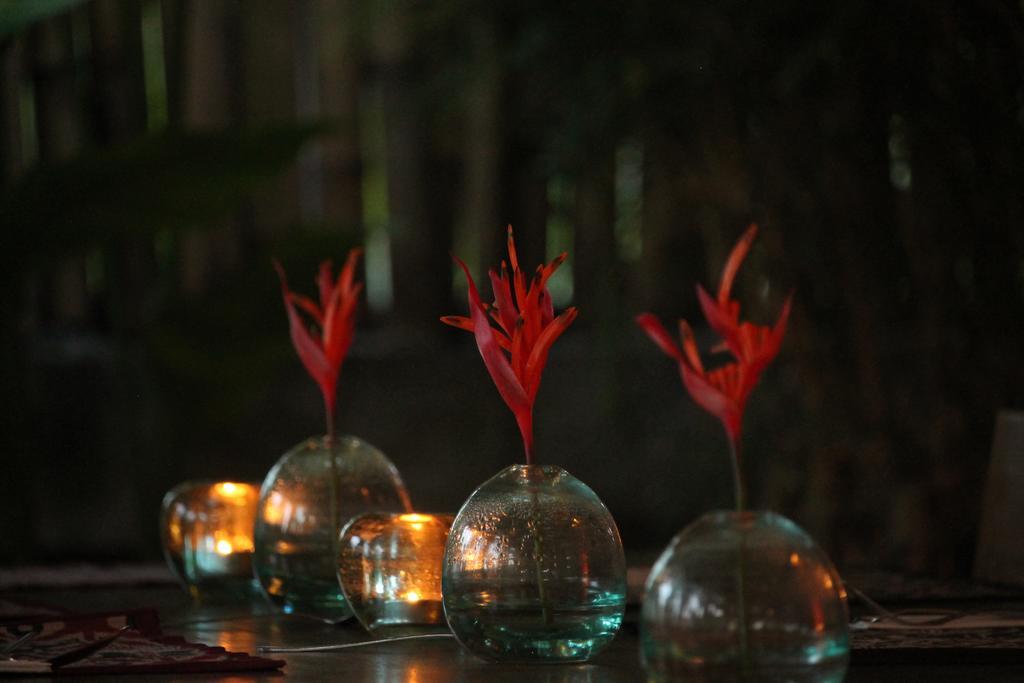Kayu Bali Hotel Canggu  Luaran gambar